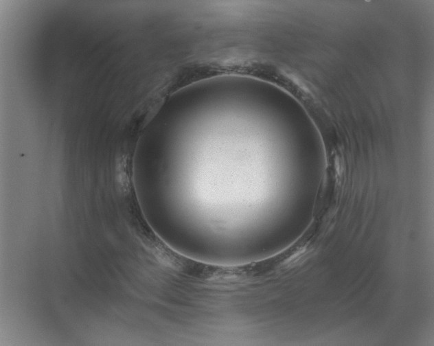 X0000072951156200607282222