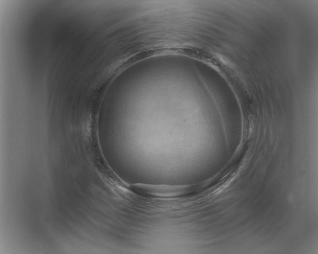 X0000072951161200607282222