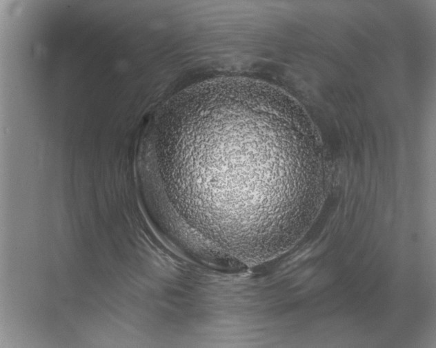 X0000072951202200607282221
