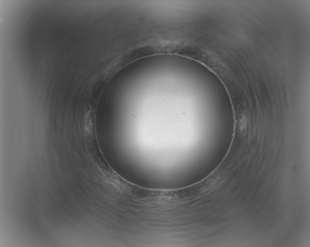 X0000072951204200607282221