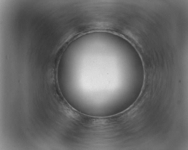 X0000072951211200607282221