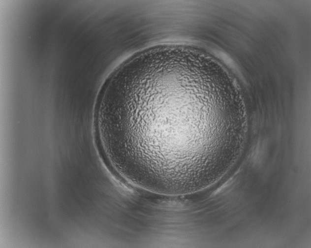 X0000072951229200607282221