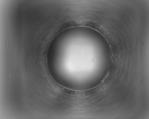 X0000072951249200607282221