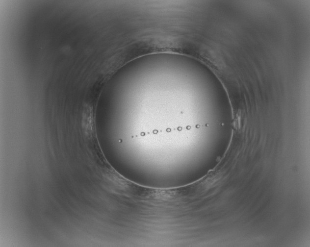 X0000072951251200607282221