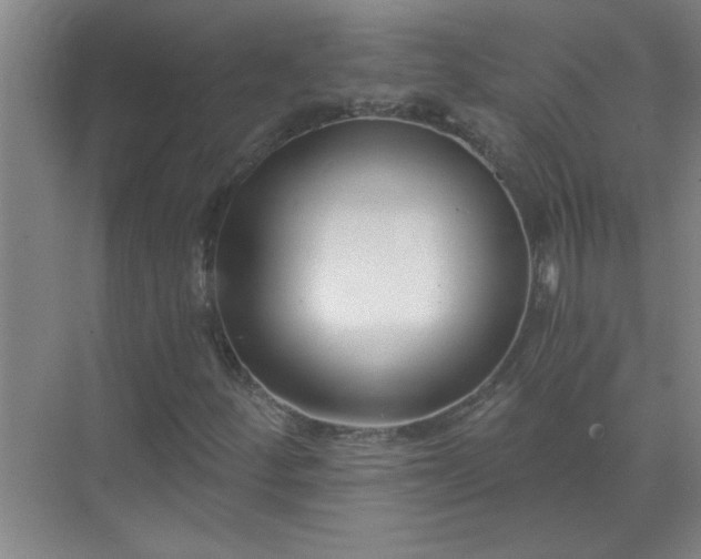 X0000072951252200607282221