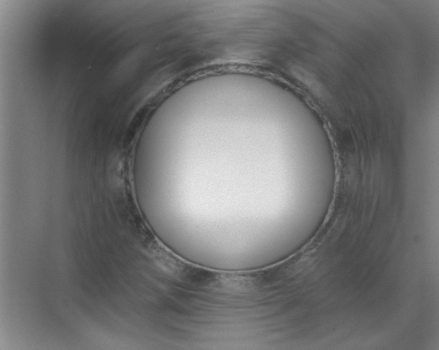 X0000072951258200607282221