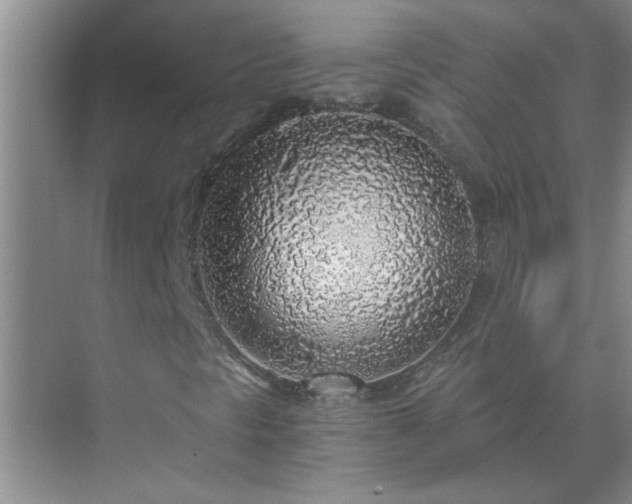 X0000072951297200607282219