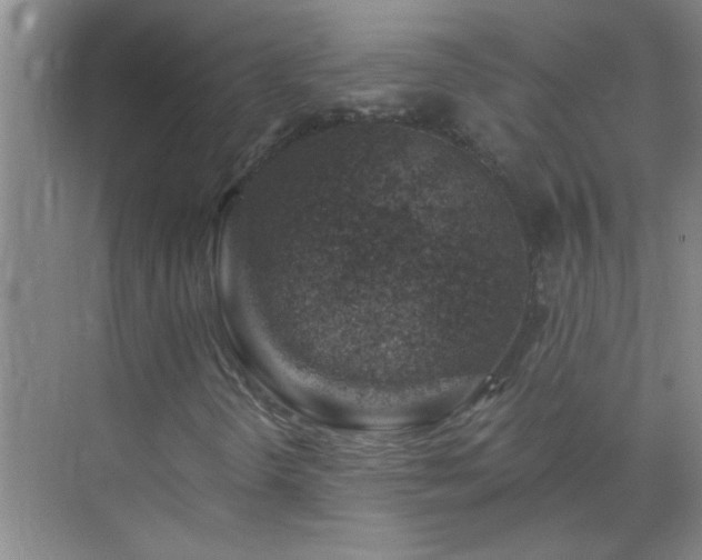 X0000072951298200607282219