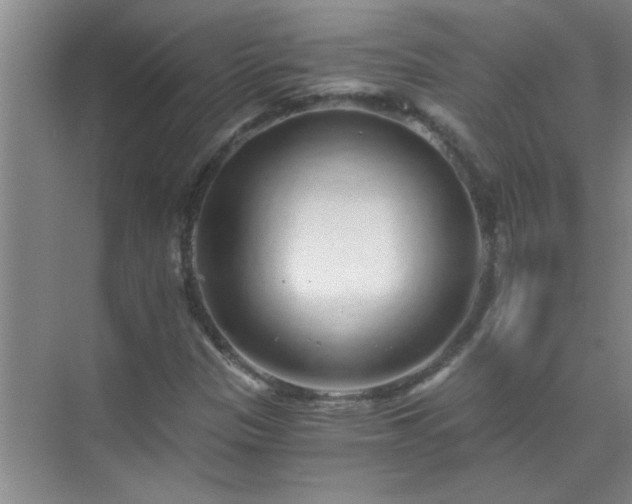 X0000072951305200607282219