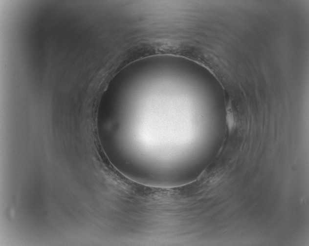 X0000072951345200607282219