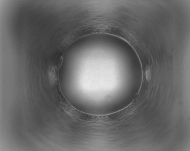 X0000072951347200607282219