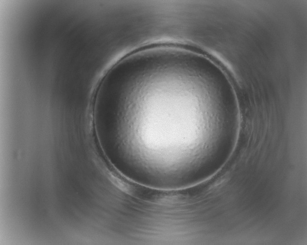 X0000072951367200607282219