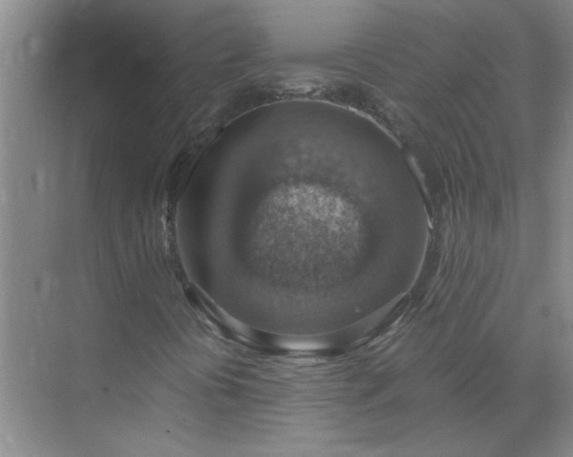 X0000072951394200607282218