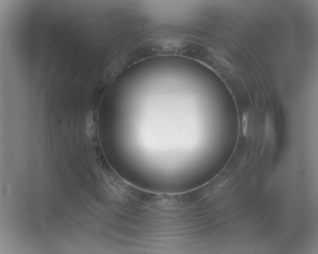 X0000072951395200607282218