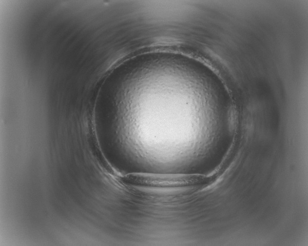 X0000072951401200607282218