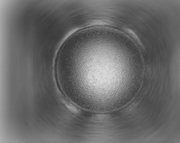 X0000072951427200607282218