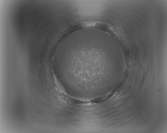X0000072951441200607282218