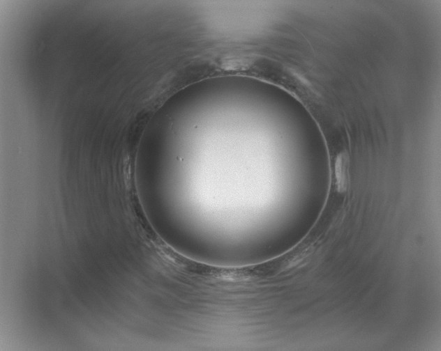 X0000072951443200607282218