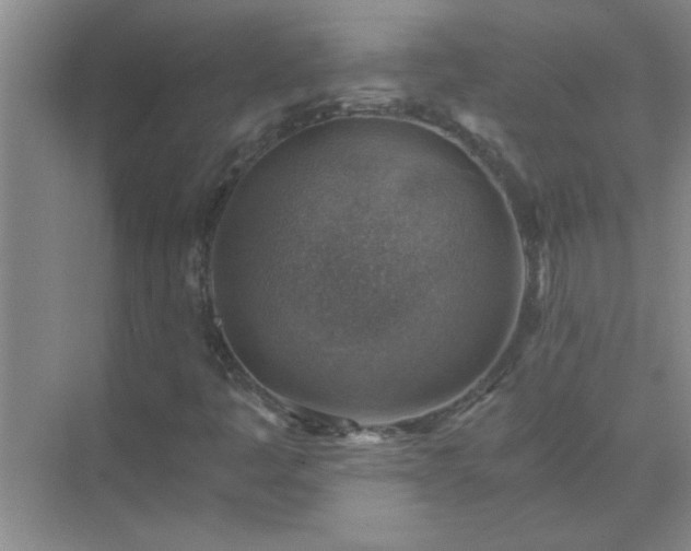 X0000072951445200607282218