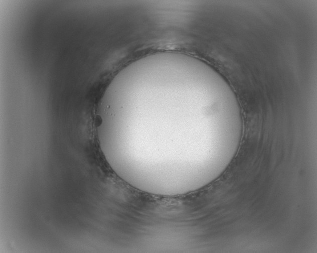 X0000072951446200607282218