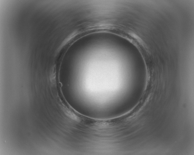 X0000072951450200607282217