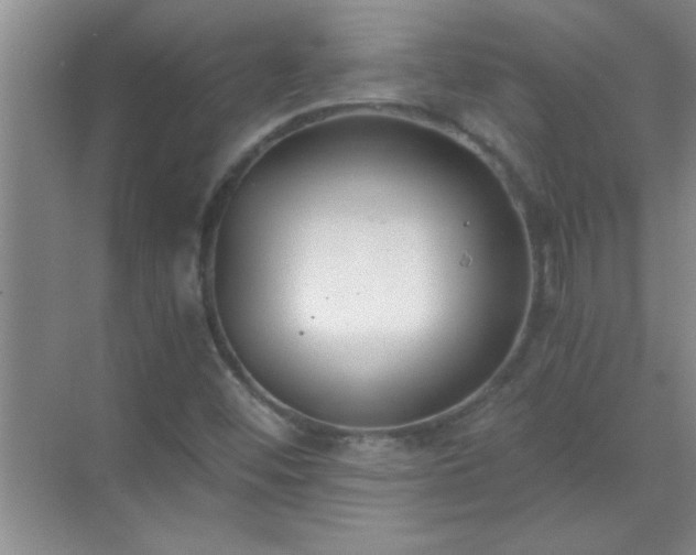 X0000072951452200607282217