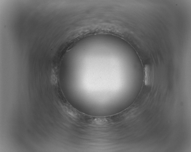 X0000072951491200607282216