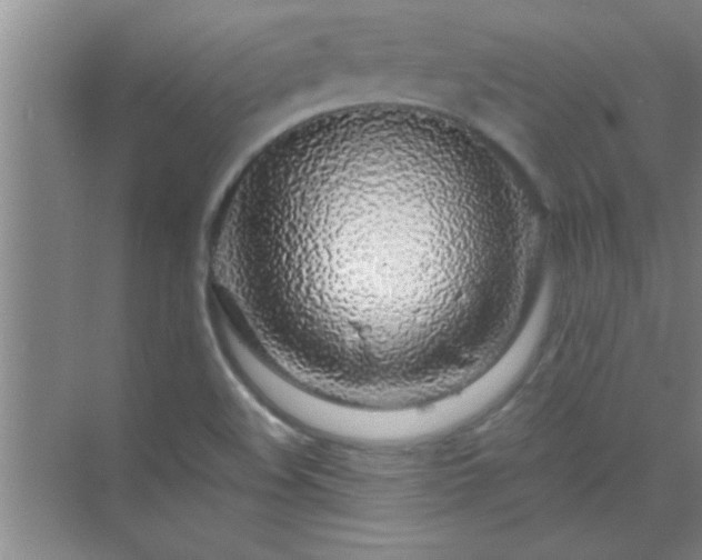 X0000072951508200607282216
