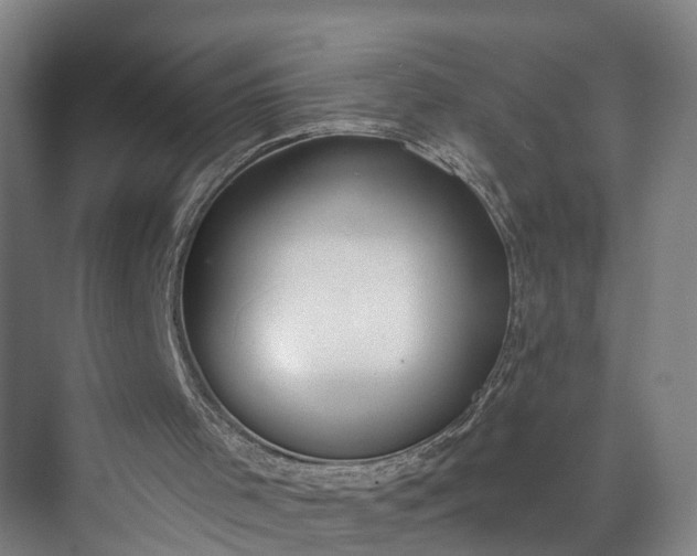 X0000072950001200608041320