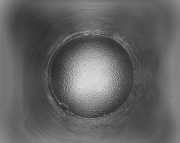 X0000072950002200608041320