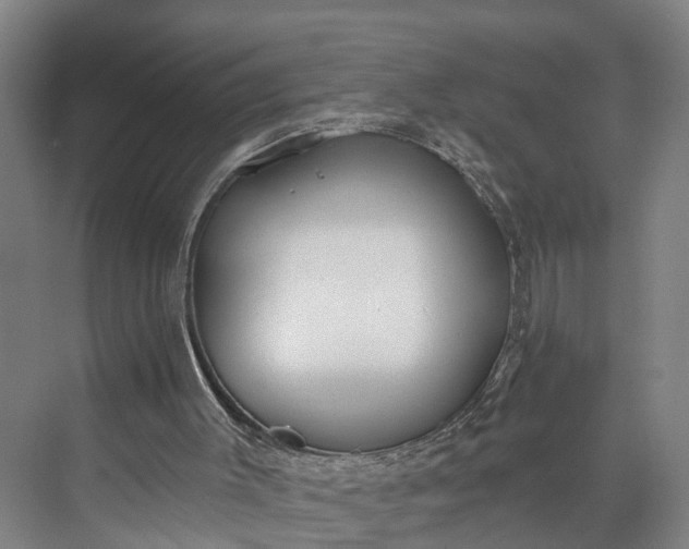 X0000072950003200608041320