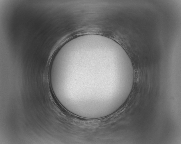 X0000072950004200608041320