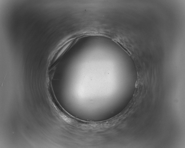 X0000072950005200608041320