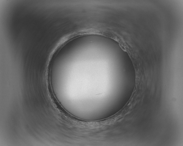 X0000072950006200608041320