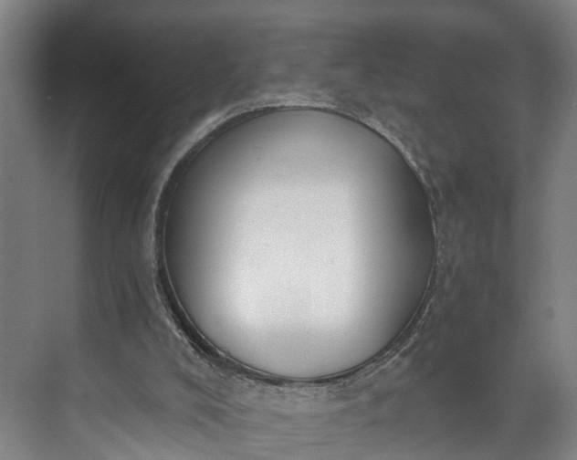 X0000072950008200608041320