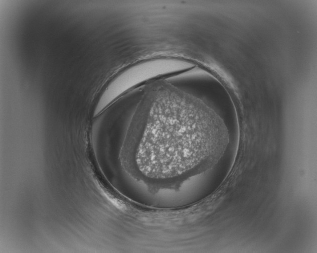 X0000072950009200608041320