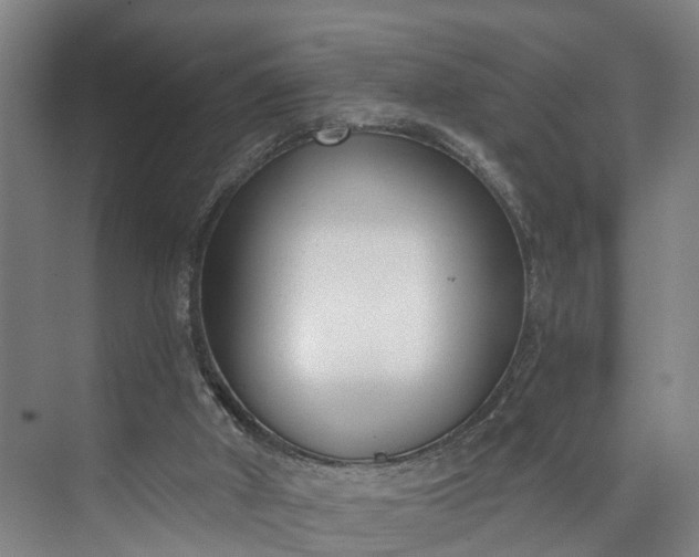 X0000072950010200608041319