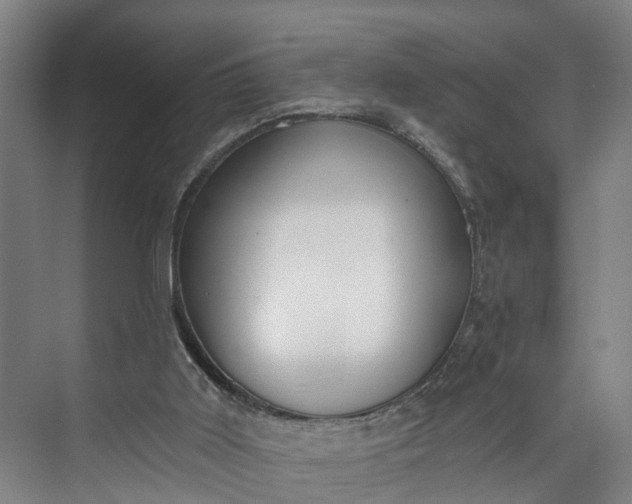 X0000072950011200608041319