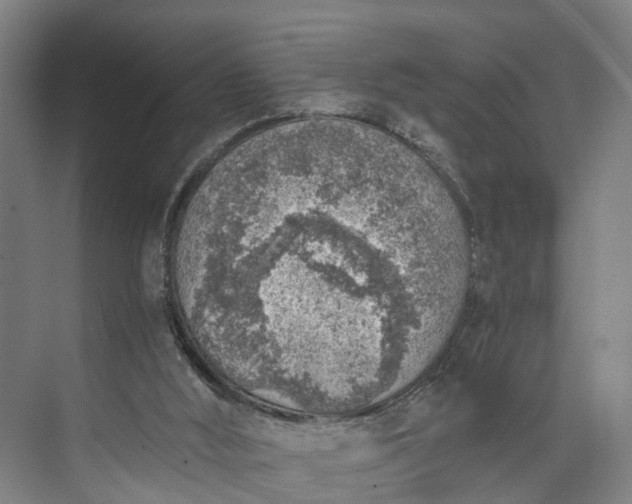 X0000072950012200608041319