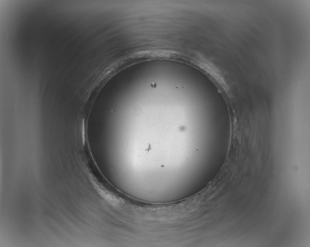 X0000072950013200608041319