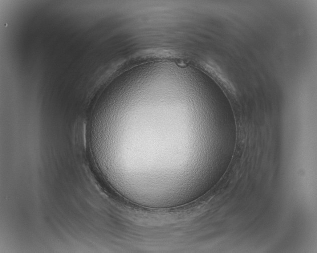 X0000072950014200608041319