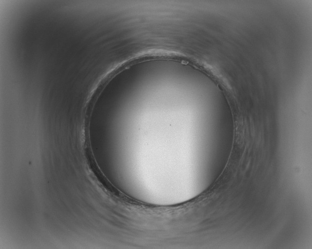 X0000072950015200608041319