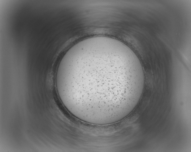 X0000072950016200608041319