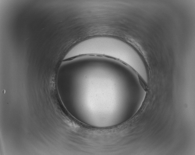 X0000072950017200608041319