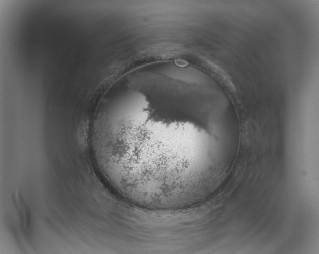 X0000072950018200608041319