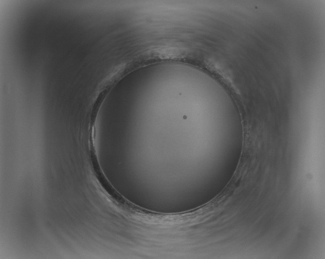 X0000072950019200608041319