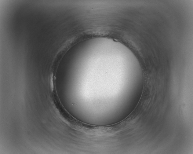 X0000072950020200608041319