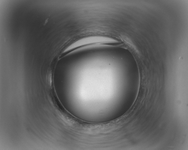 X0000072950021200608041319