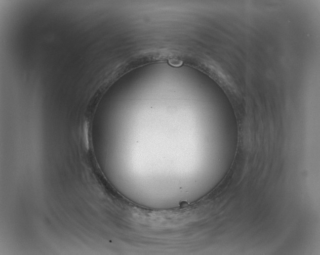 X0000072950022200608041319