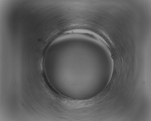 X0000072950023200608041319